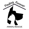 FINDING FOREVER ANIMAL RESCUE